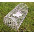 Cages vivantes humanistes de chasse d&#39;animal pour attraper des rats / vison / rongeur